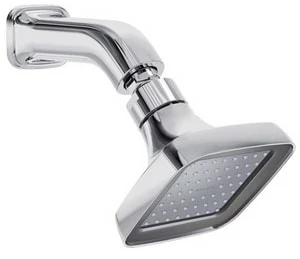 Budget ❤️ Kallista Per Se® Single Function Full Showerhead in Polished Chrome ✔️